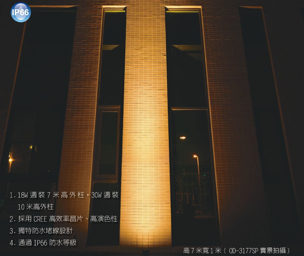 舞光18W/30W戶外洗柱燈/照樹燈 OD-3177SP