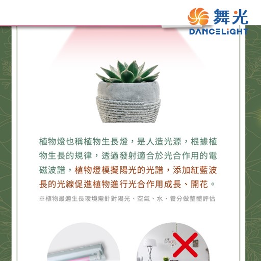 舞光T8 LED 2尺 /4尺紅藍光譜植物燈管 