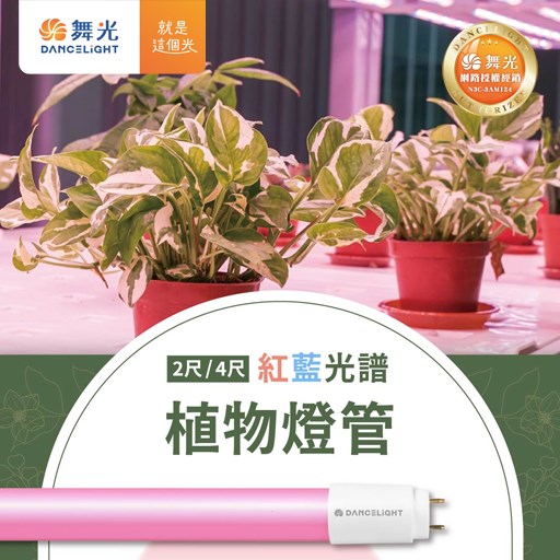 舞光T8 LED 2尺 /4尺紅藍光譜植物燈管 
