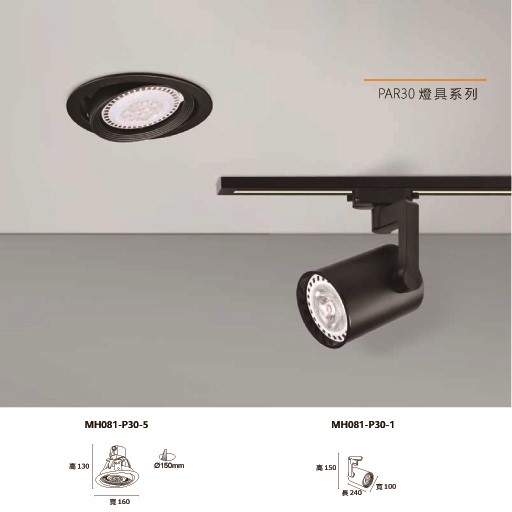 MH- PAR 30燈具系列崁燈/軌道燈具高雅黑/尊貴白