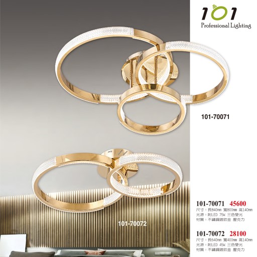 101-70041