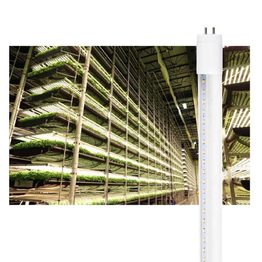 MH-T8 LED 2尺/4尺植物燈管