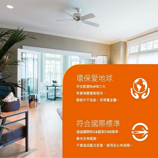 歐司朗OSRAM晶享8吋20W高光效LED吸崁兩用薄型崁燈（20公分崁孔）