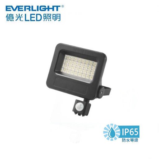 EVERLIGHT億光星宇30W戶外防水LED全電壓紅外線感應投光燈 