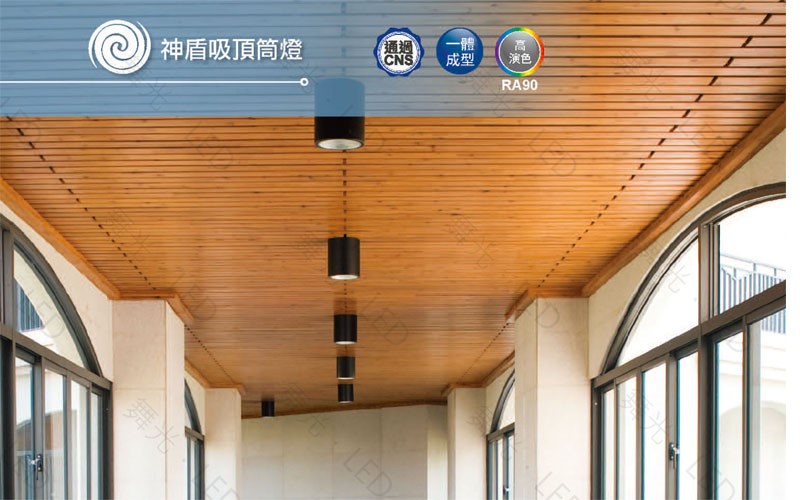 舞光 LED 10W /20W/30W40W神盾筒燈 LED-CEA40D 6500K/4000K/3000K 全電壓