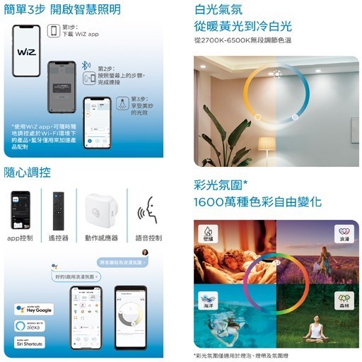 PHILIPS 飛利浦 Wi-Fi WiZ 智慧照明 動作感應器 PW007