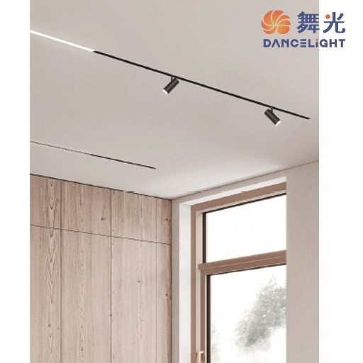舞光~新品米開朗柔性軌道系列-6W軌道玻璃球燈