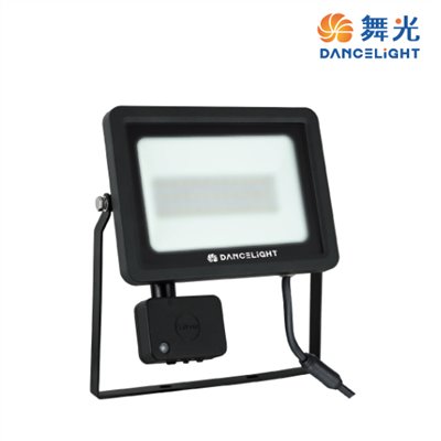  舞光~ 防水微波感應20W/30W投光燈 泛光燈戶外燈具  OD-SEFL20D