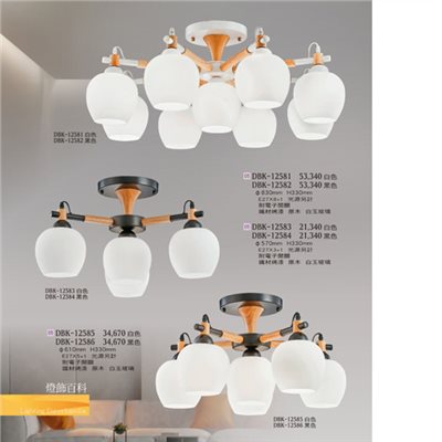 燈飾百科DBK12581 造型吸頂燈（放大美圖請至首頁“最新消息”搜尋 ）   
