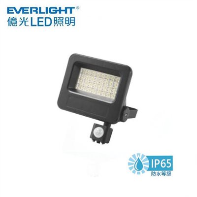 EVERLIGHT億光星宇30W戶外防水LED全電壓紅外線感應投光燈 
