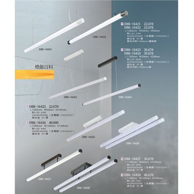 燈飾百科DBK16421 造型燈具（放大美圖請至首頁“最新消息”搜尋 ）   