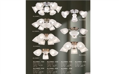 亞伯特AL33891 造型吸頂燈尺寸 材質 規格請参閱圖示   